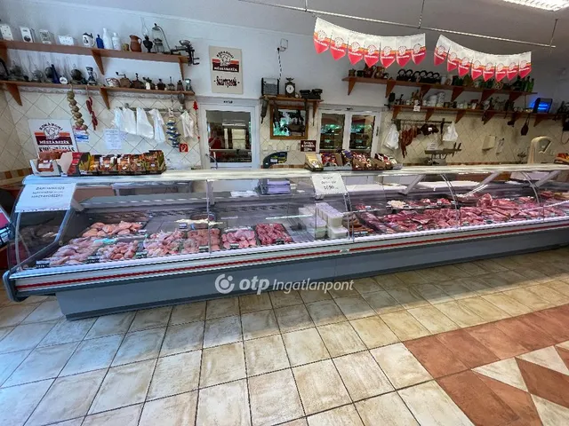 Eladó kereskedelmi és ipari ingatlan Kisújszállás 231 nm