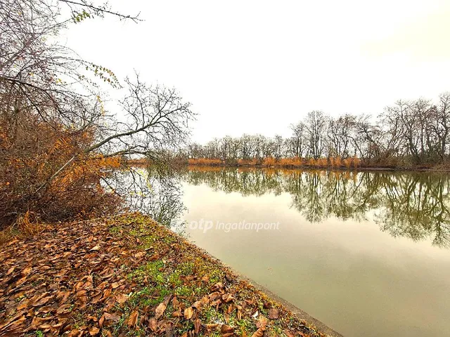 Eladó telek Békésszentandrás 1127 nm