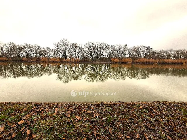 Eladó telek Békésszentandrás 1127 nm