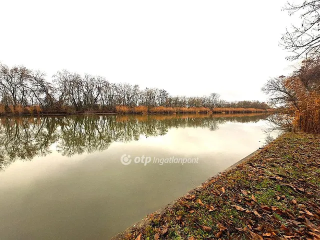 Eladó telek Békésszentandrás 1127 nm