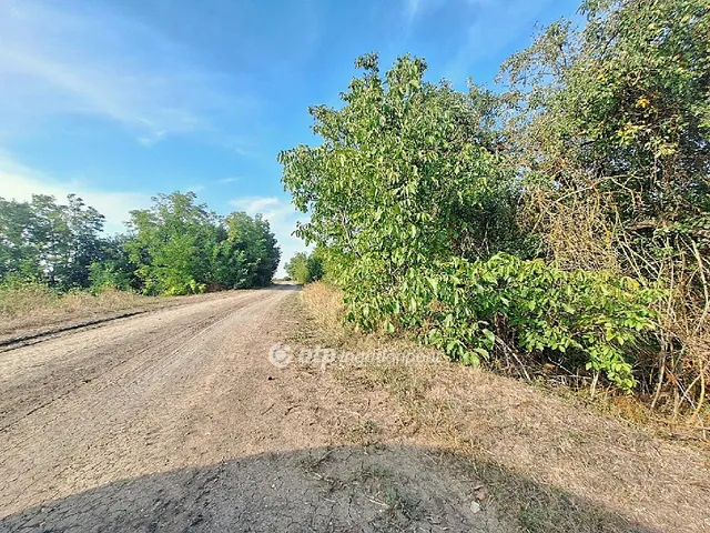 Eladó telek Békésszentandrás 387 nm