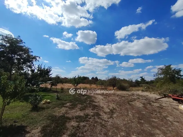 Eladó telek Tiszaszentimre 3636 nm