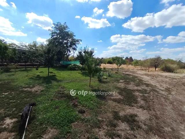 Eladó telek Tiszaszentimre 3636 nm