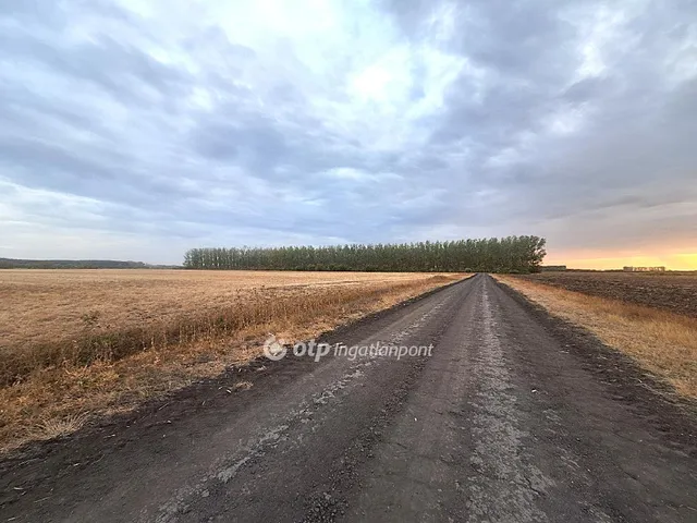 Eladó mezőgazdasági ingatlan Szeghalom 128500 nm