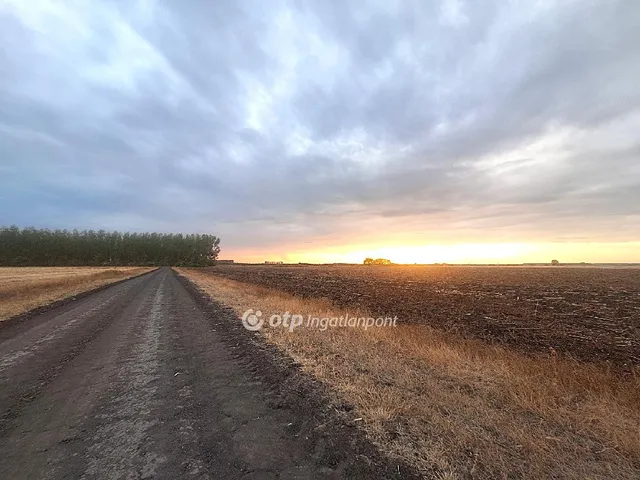 Eladó mezőgazdasági ingatlan Szeghalom 128500 nm