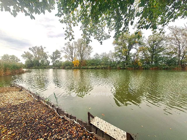 Eladó telek Gyomaendrőd 891 nm