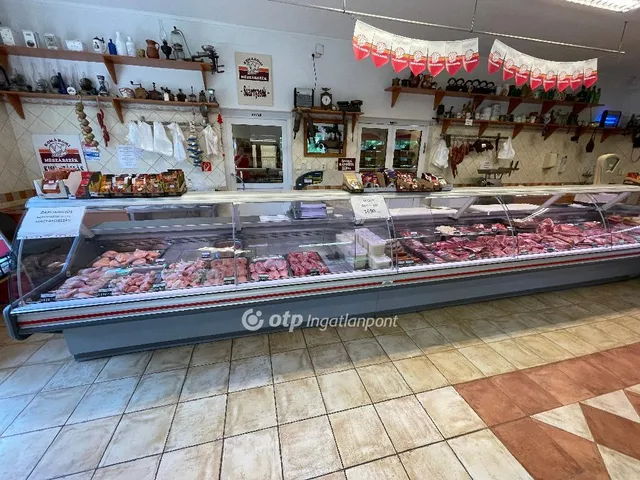 Eladó kereskedelmi és ipari ingatlan Kisújszállás 232 nm