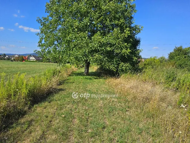 Eladó mezőgazdasági ingatlan Tatabánya 1507 nm