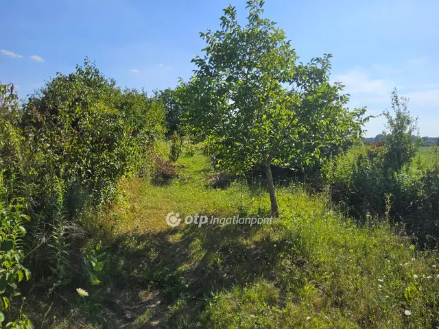 Eladó mezőgazdasági ingatlan Tatabánya, Kervárosias 1507 nm