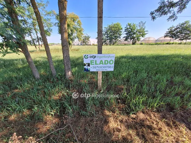 Eladó telek Tiszakécske, Kerekdomb 3065 nm