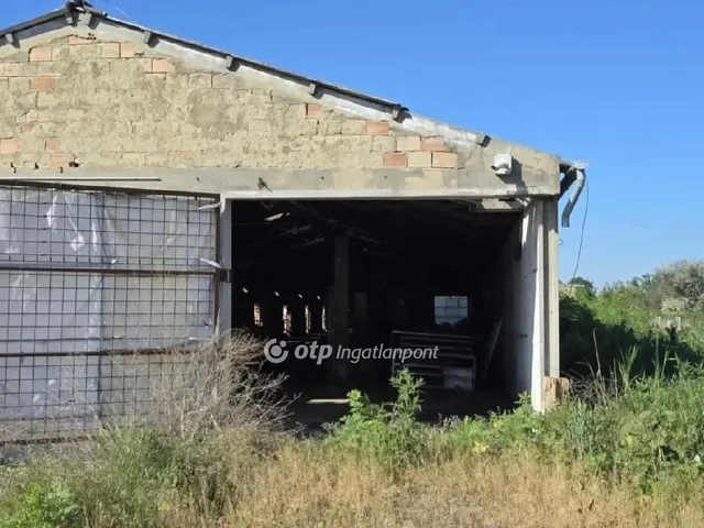 Eladó mezőgazdasági ingatlan Besenyszög 40200 nm