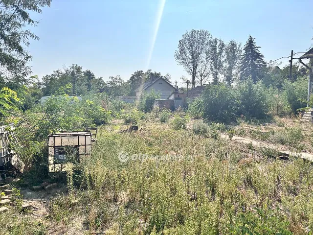 Eladó telek Cserkeszőlő 1546 nm