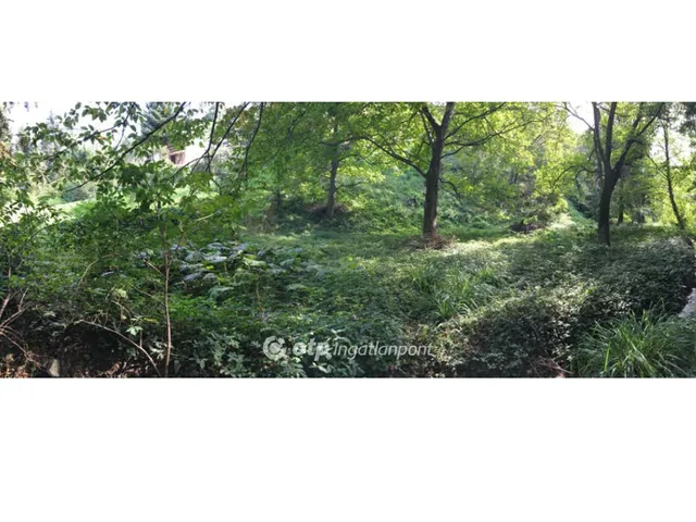 Eladó telek Pécs 1470 nm