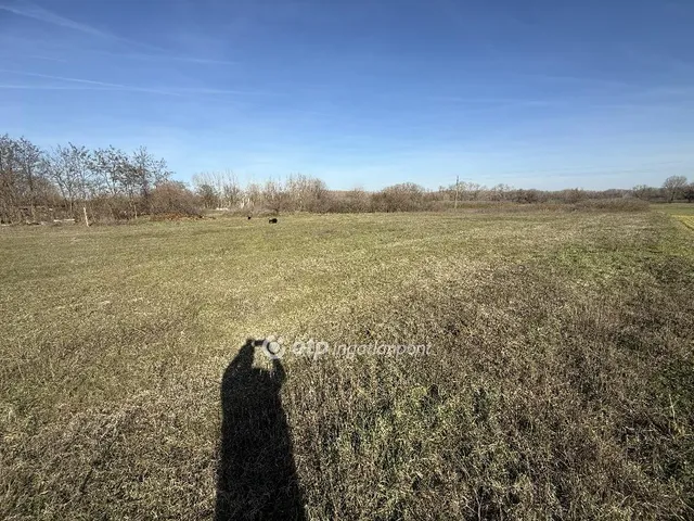 Eladó telek Tiszakécske, Tiszabög 4678 nm