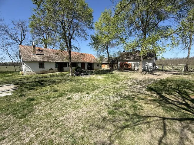 Eladó mezőgazdasági ingatlan Nagykőrös 53 nm