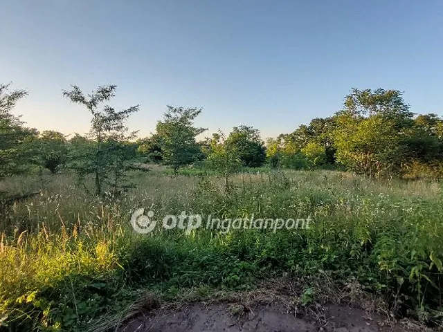 Eladó telek Felcsút 979 nm