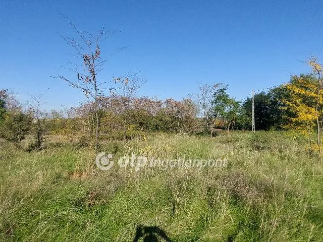 Eladó telek Felcsút 979 nm