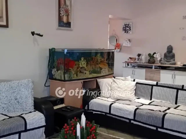 Eladó ház Sárszentmihály 280 nm