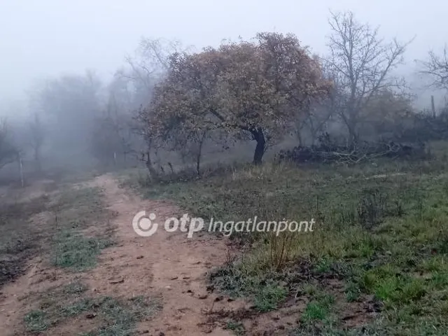 Eladó telek Székesfehérvár 3363 nm