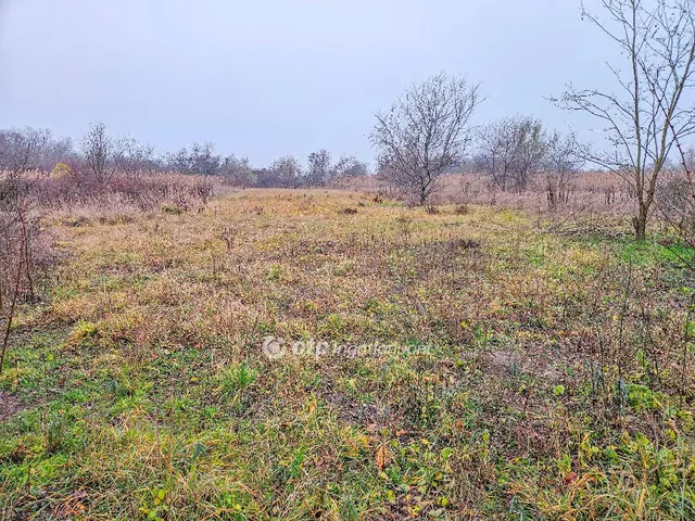 Eladó telek Szigetszentmiklós 998 nm