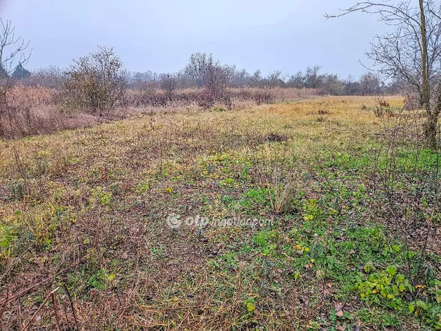 Eladó telek Szigetszentmiklós 998 nm