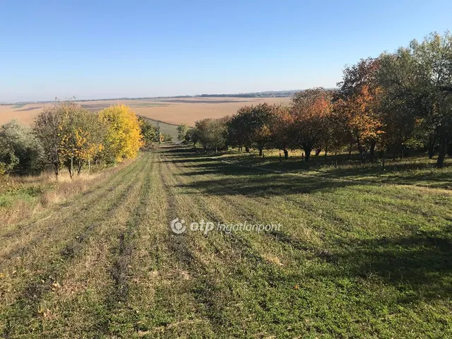 Eladó telek Pázmánd 4049 nm