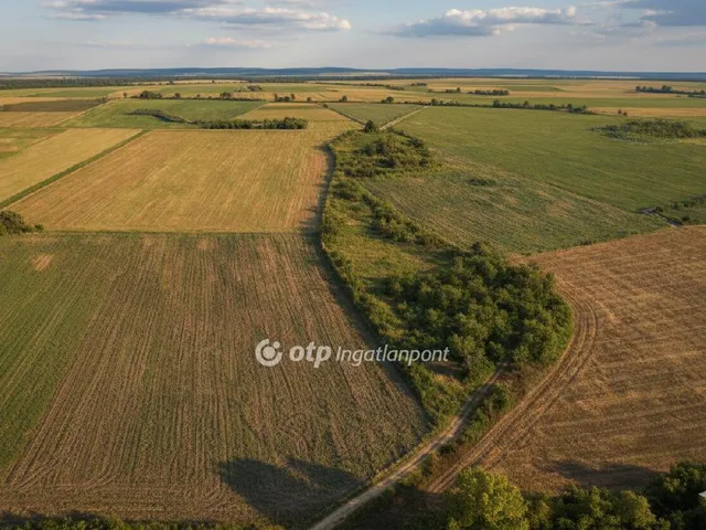 Eladó mezőgazdasági ingatlan Szabadegyháza 16900 nm