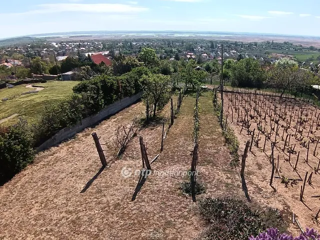 Eladó telek Pákozd 845 nm