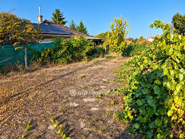 Eladó telek Pázmánd 865 nm