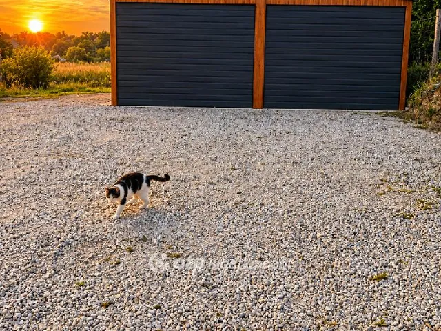 Eladó telek Pázmánd 1098 nm