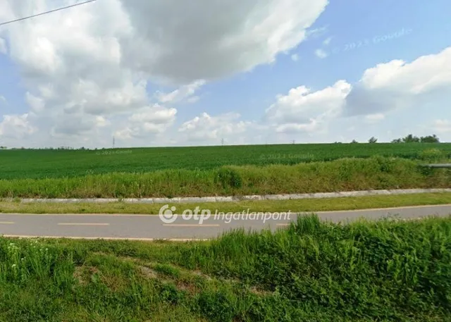Eladó mezőgazdasági ingatlan Kisapostag 45772 nm