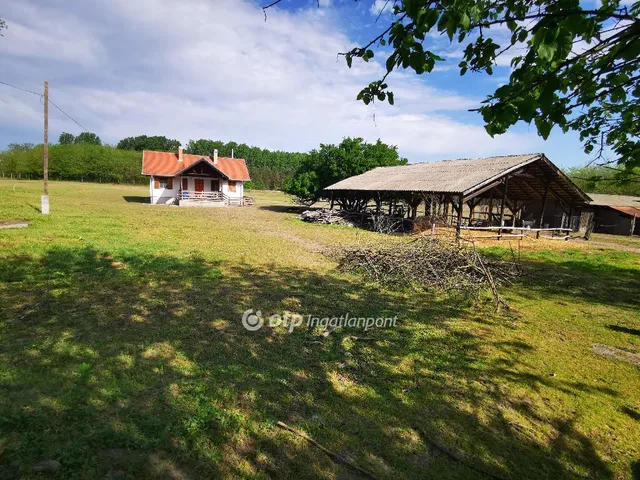 Eladó mezőgazdasági ingatlan Örkény 24471 nm