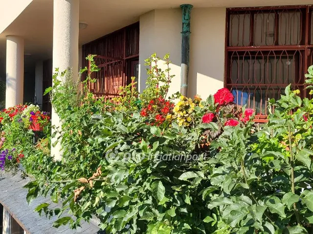 Eladó lakás Budapest XII. kerület 262 nm