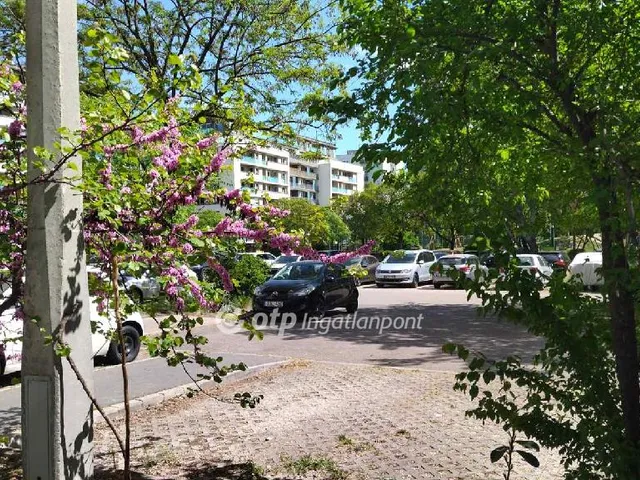 Kiadó lakás Budapest XIII. kerület 71 nm