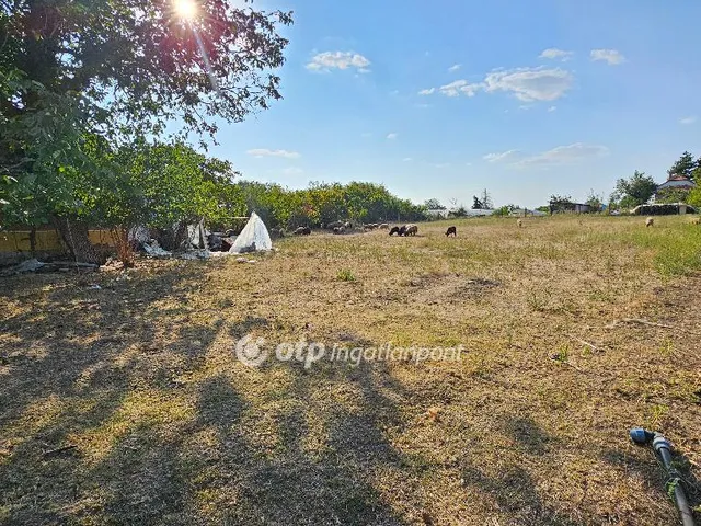 Eladó telek Szentes, Nagyhegy 3800 nm