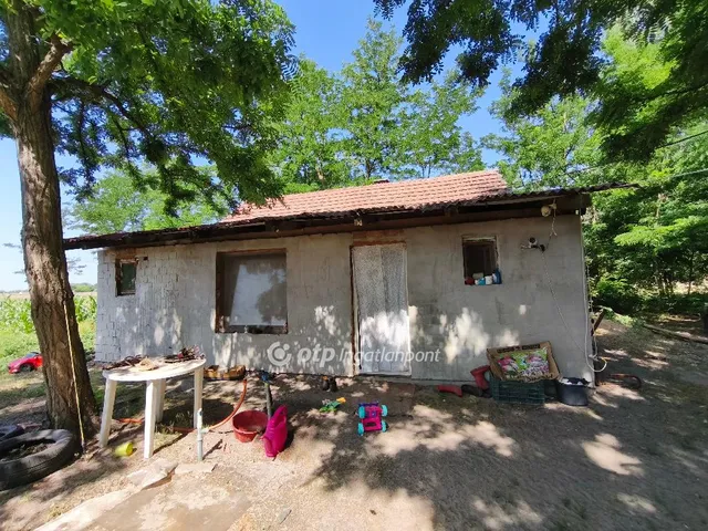 Eladó mezőgazdasági ingatlan Csengele 58 nm