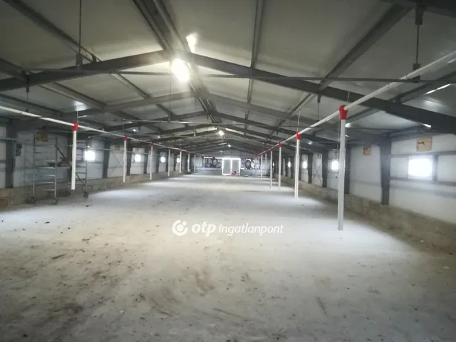 Kiadó kereskedelmi és ipari ingatlan Szentes 3040 nm