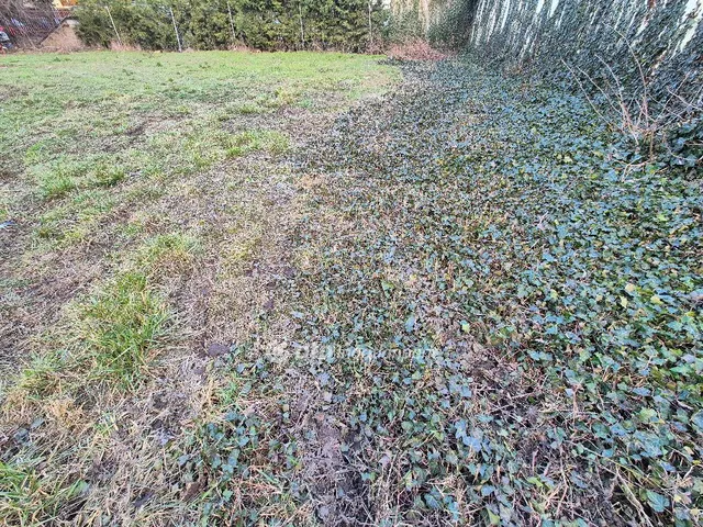 Eladó telek Szentes 350 nm