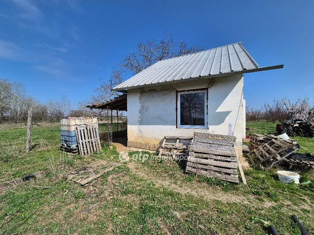 Eladó mezőgazdasági ingatlan Szentes 18803 nm