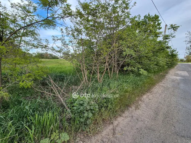 Eladó telek Szentes 7300 nm