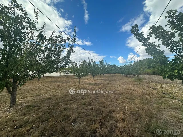 Eladó telek Szentes 6948 nm