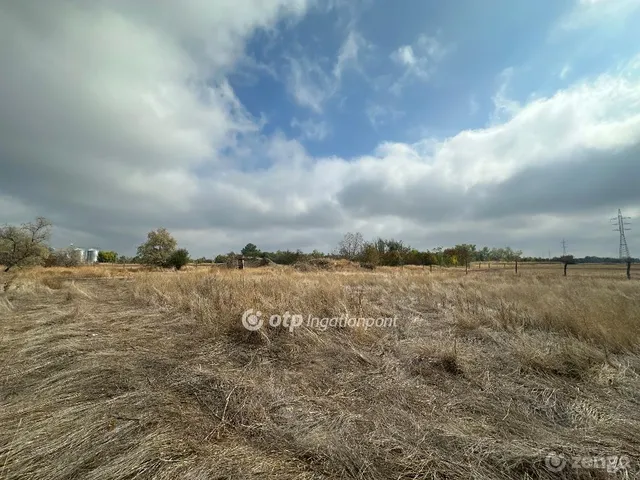 Eladó telek Csongrád 10366 nm