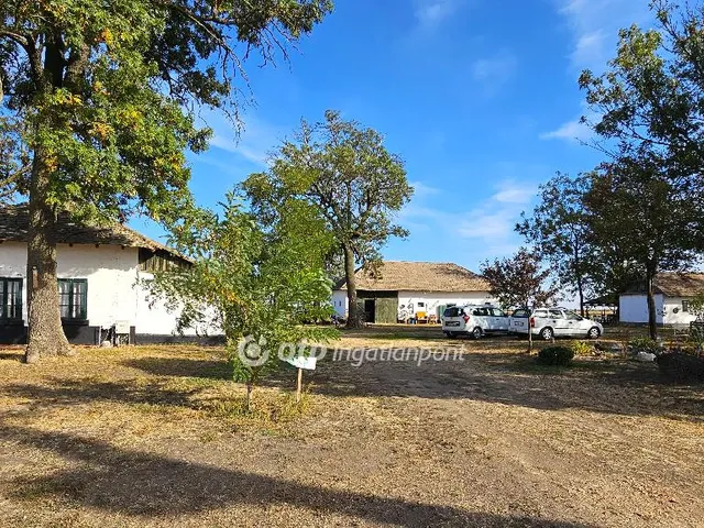 Eladó ház Szegvár 288 nm