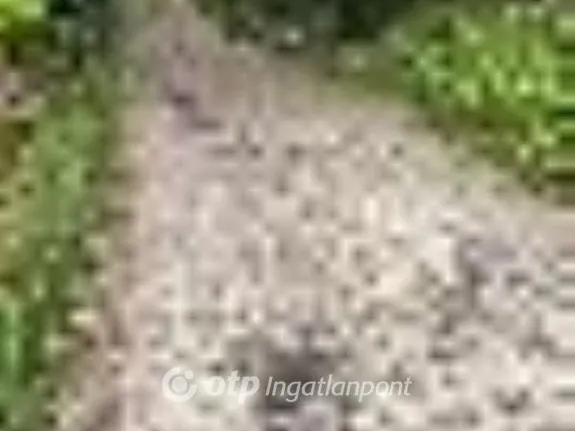 Eladó telek Kaposvár 2449 nm
