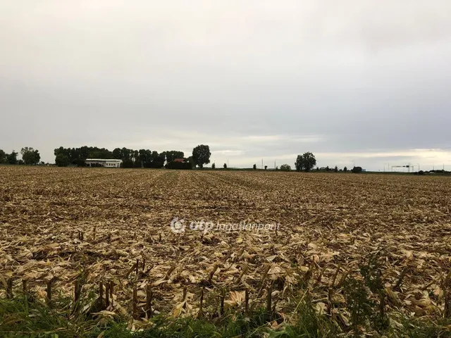 Eladó telek Kaposvár 3584 nm