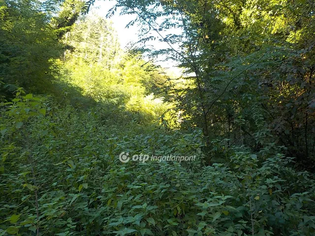 Eladó telek Kaposvár 2573 nm