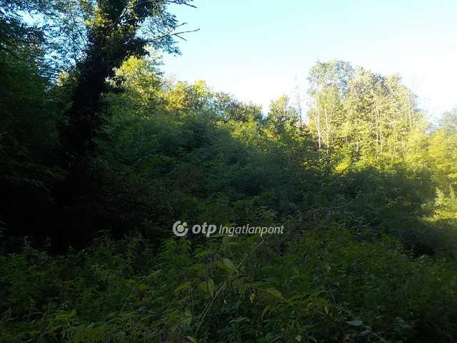 Eladó telek Kaposvár 2573 nm