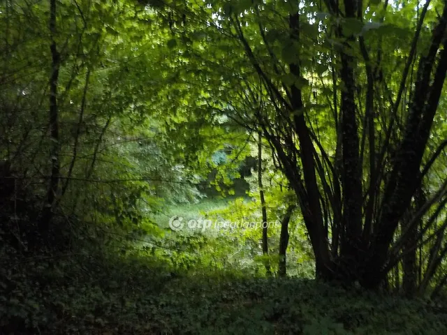 Eladó telek Kaposvár, Töröcske 1807 nm