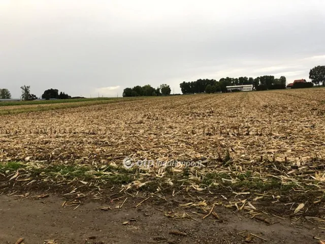 Eladó telek Kaposvár 3584 nm