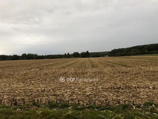 Eladó telek Kaposvár 3584 nm